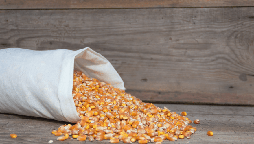 Stay period impede arresto durante recuperação judicial.  (Imagem: Freepik)