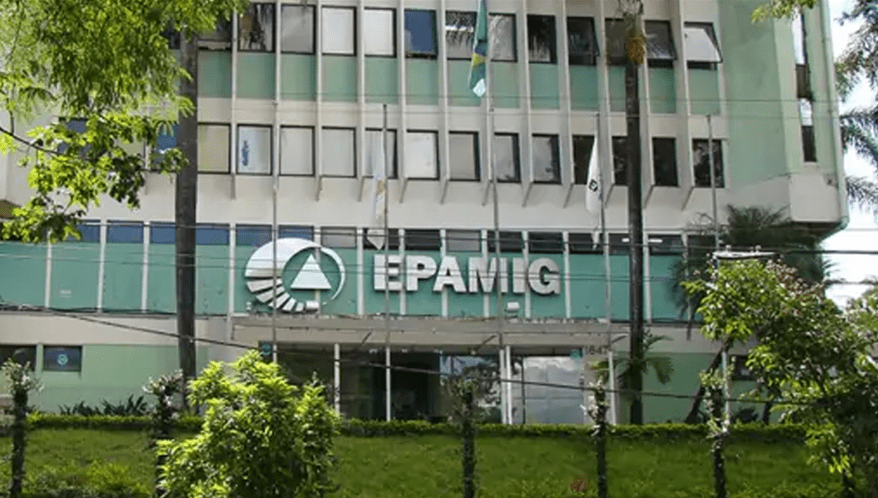  (Imagem: Reprodução/Epamig)