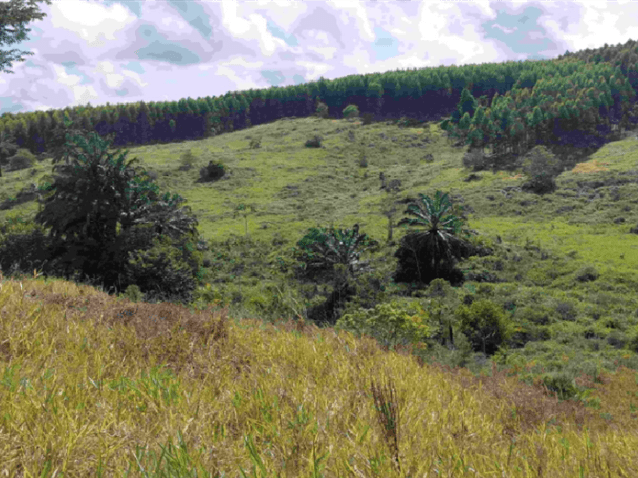Machado Meyer Advogados assessora Carbon2Nature Brasil em investimento
