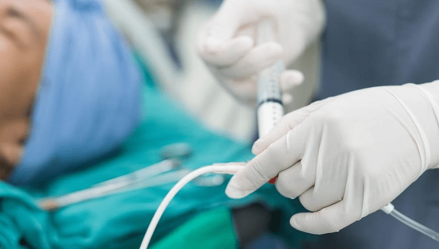  (Imagem: AdobeStock)