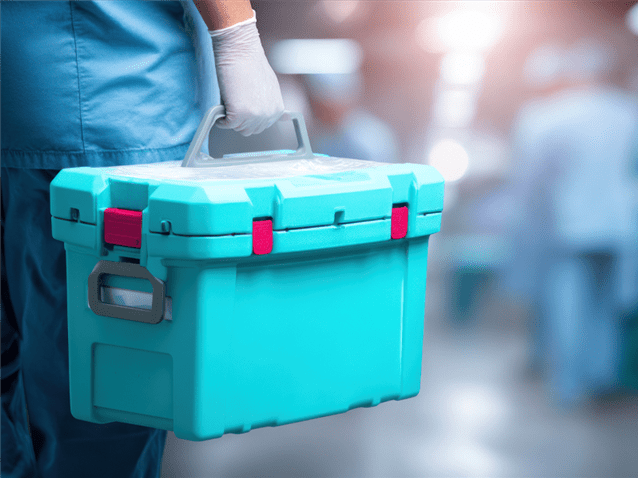  (Imagem: Adobe Stock)