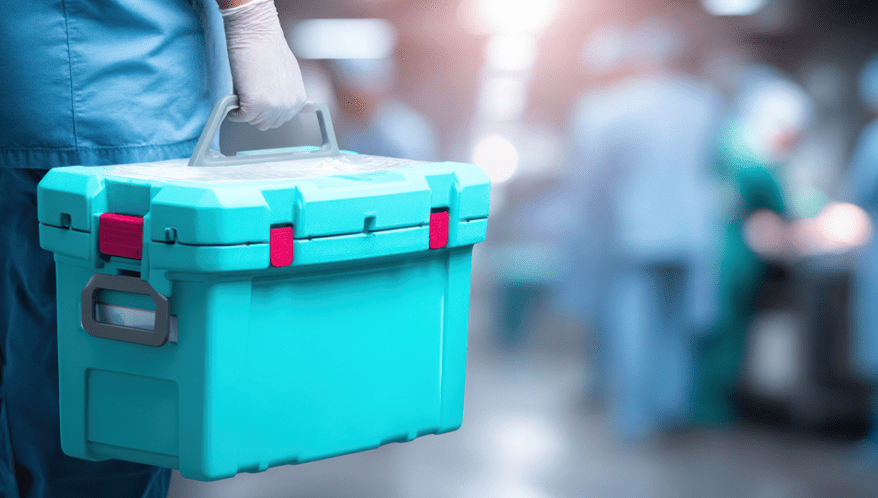  (Imagem: Adobe Stock)