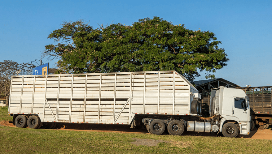 Magistrado reconheceu que o caminhão é instrumento essencial de trabalho e não pode ser penhorado.  (Imagem: Freepik)
