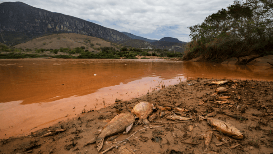  (Imagem: Fabio Braga/Folhapress)