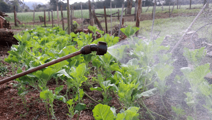 STF julga isenção fiscal a agrotóxicos.  (Imagem: Dirceu Portugal/Fotoarena/Folhapress)