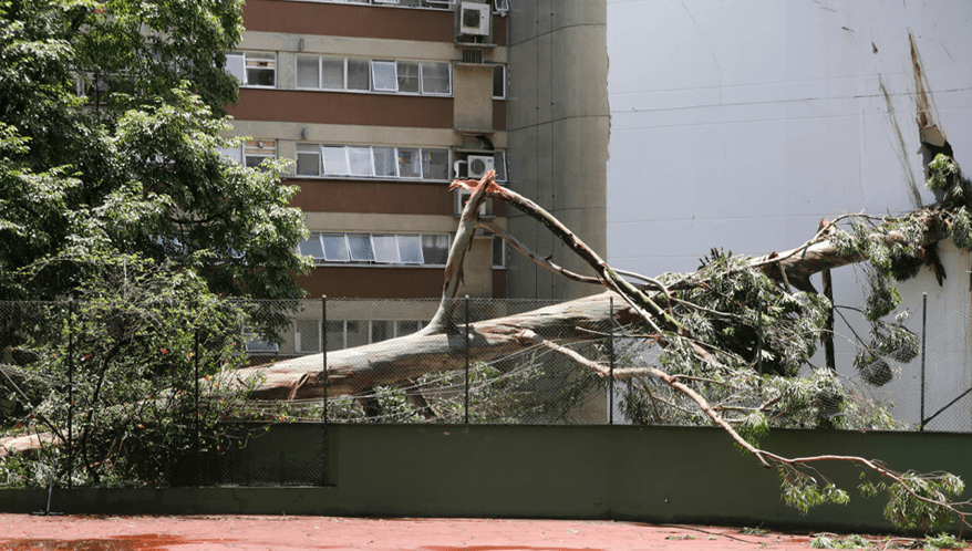  (Imagem: Rubens Cavallari/Folhapress)