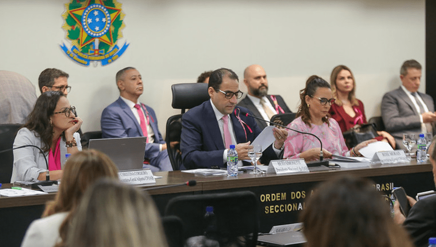  (Imagem: Raul Spinassé/OAB Nacional)