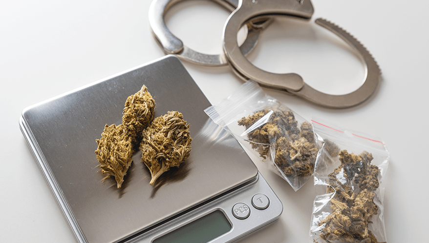  (Imagem: Adobe Stock)