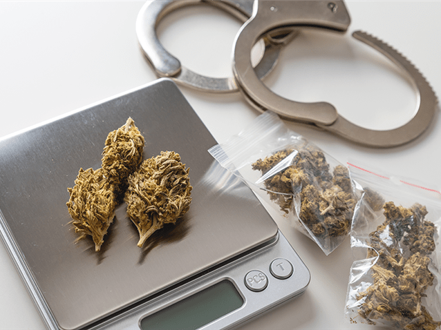  (Imagem: Adobe Stock)