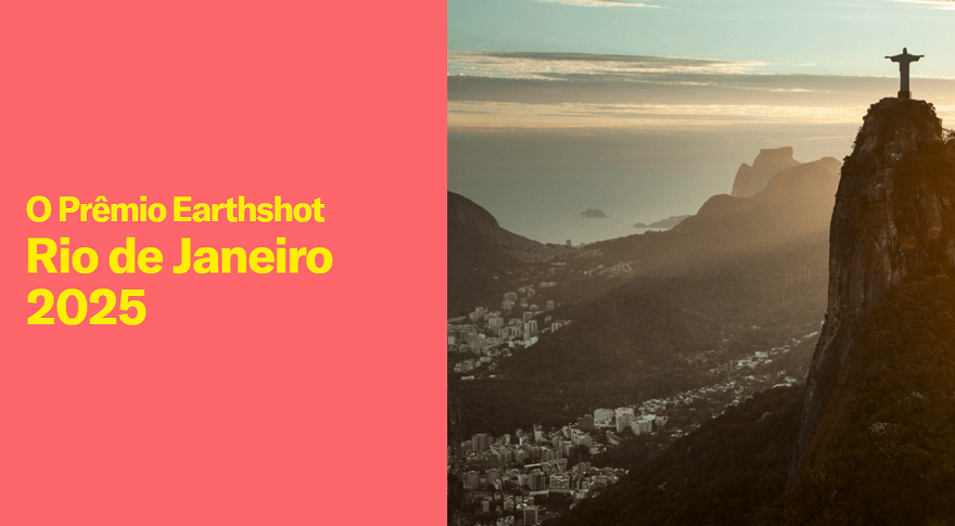  (Imagem: Divulgação)