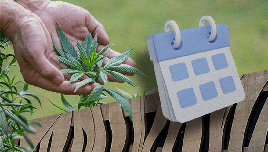  (Imagem: Arte Migalhas)