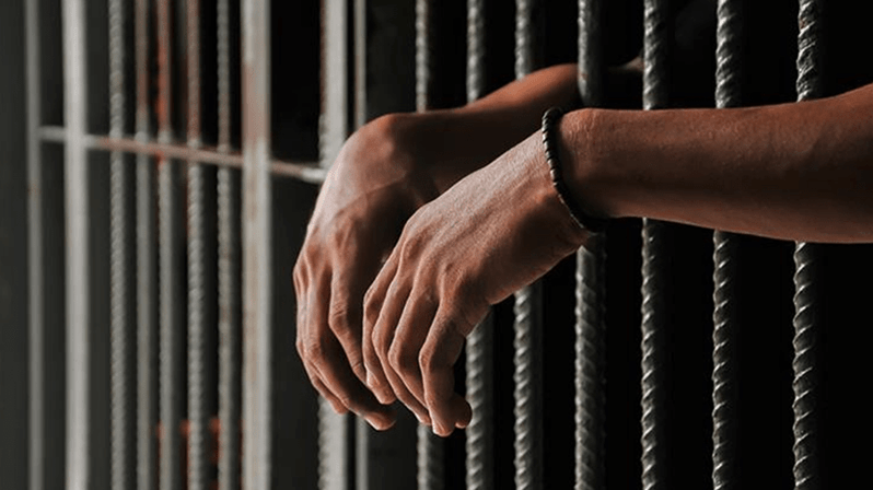  (Imagem: Adobe Stock)