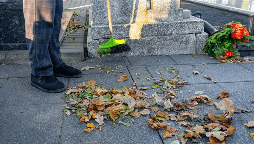  (Imagem: Adobe Stock)