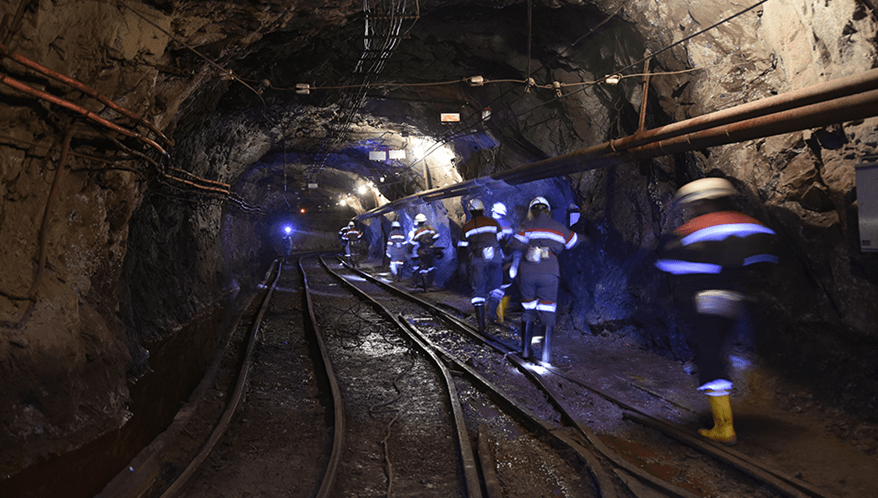  (Imagem: Adobe Stock)