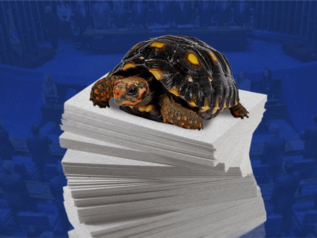  (Imagem: Arte Migalhas)