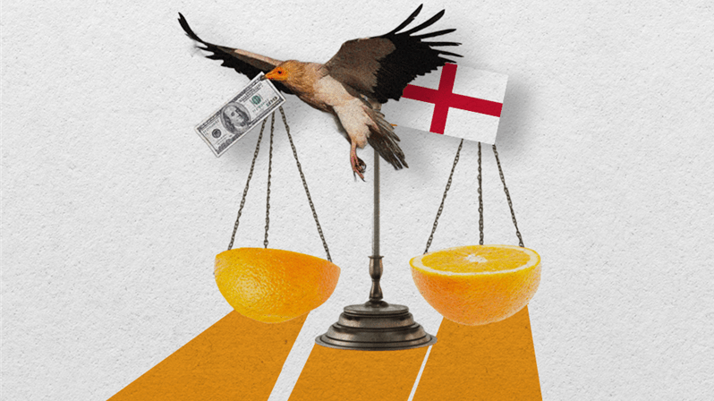  (Imagem: Arte Migalhas)