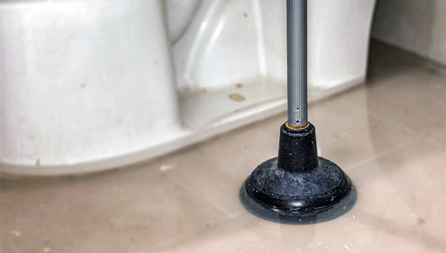  (Imagem: Adobe Stock)