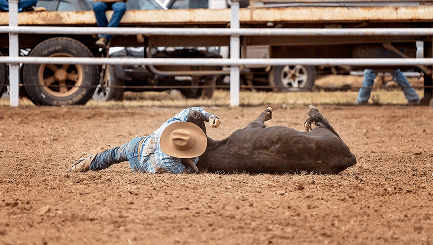  (Imagem: Adobe Stock)