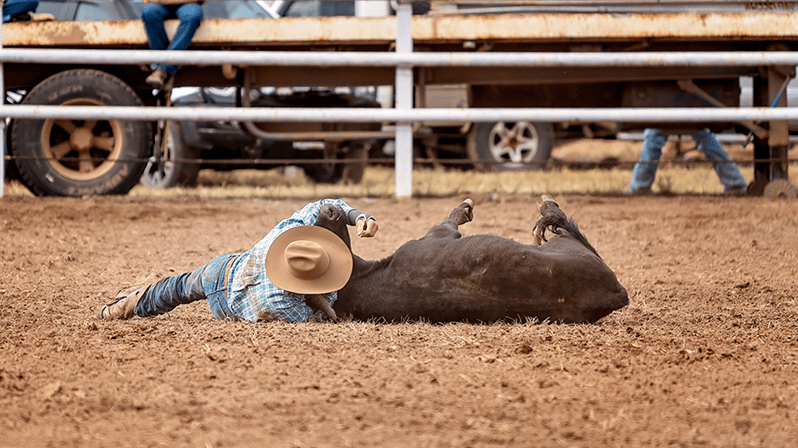  (Imagem: Adobe Stock)