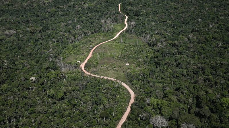  (Imagem: Henrique Santana/Folhapress)