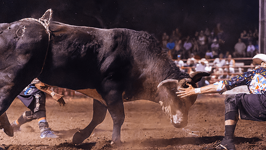  (Imagem: Adobe Stock)