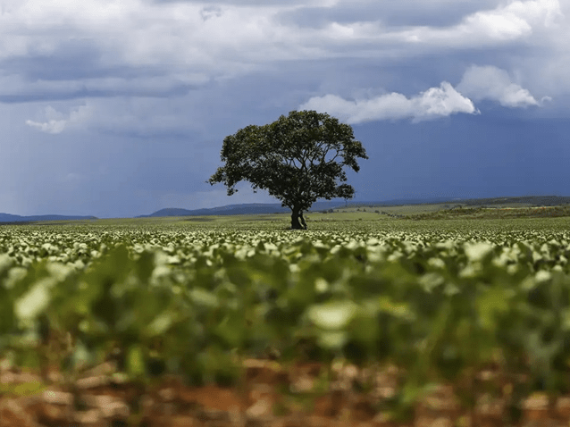  (Imagem: Marcelo Camargo/Agência Brasil)