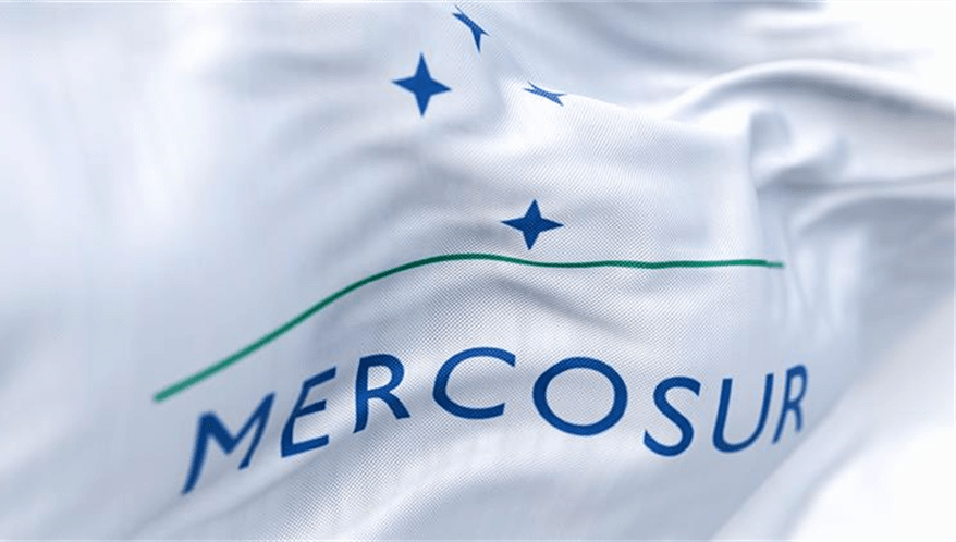  (Imagem: Adobe Stock)