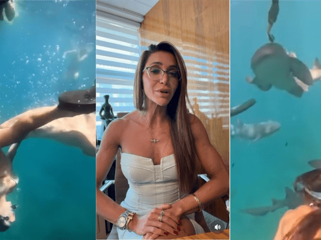 Advogada mordida por tubarão em Noronha faz "defesa" do animal Advogada mordida por tubarão em Noronha faz "defesa" do animal