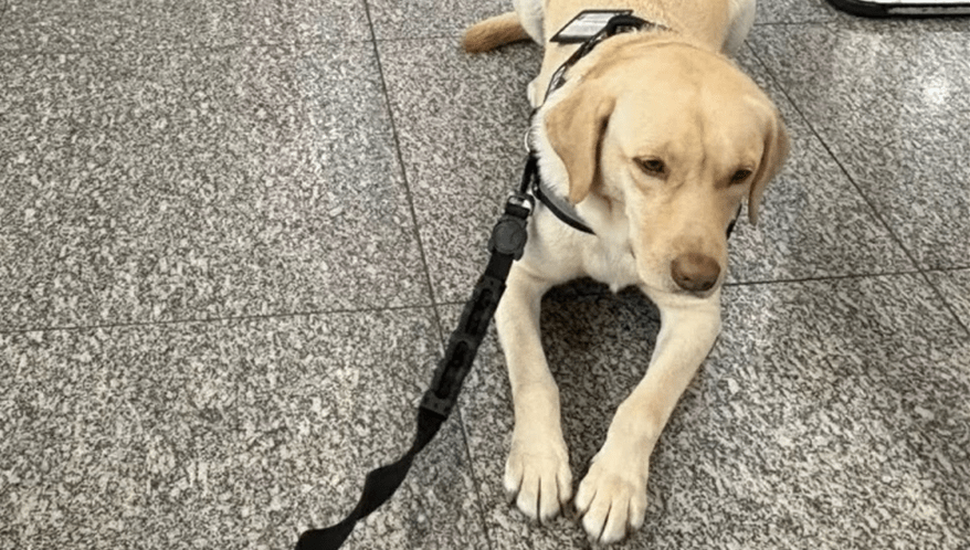  (Imagem: Reprodução)