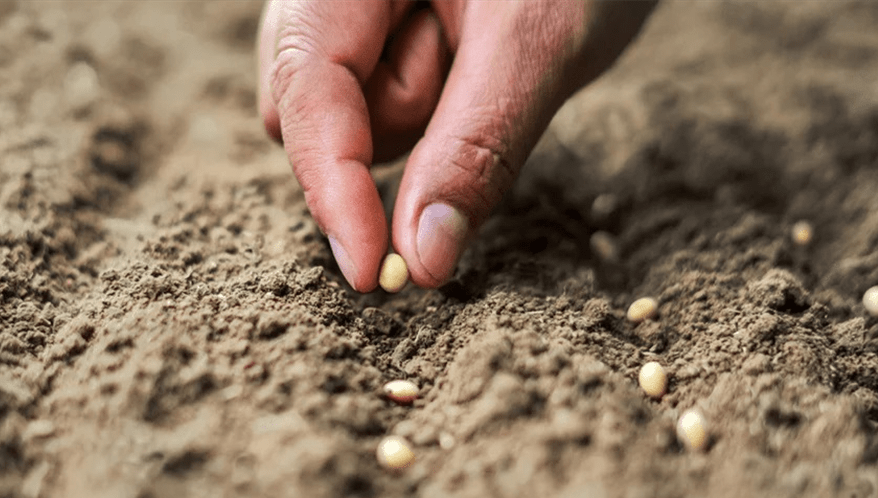  (Imagem: Adobe Stock)