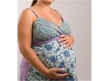 Para o TST, confirmação da gravidez durante aviso prévio não dá direito a estabilidade