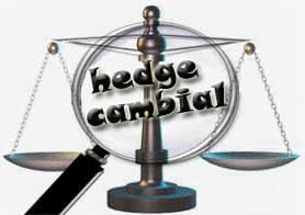 A revisão judicial do hedge cambial
