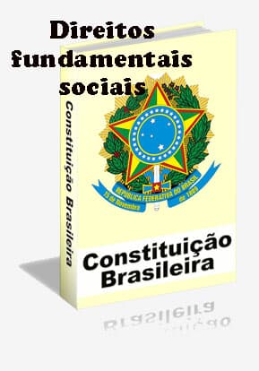 Direitos fundamentais sociais na Constituição de 1988