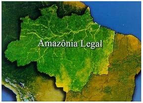 Câmara restringe posse de terra na Amazônia por estrangeiros