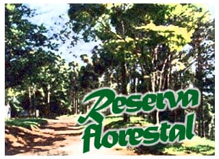 Importante precedente para Reserva Legal Florestal