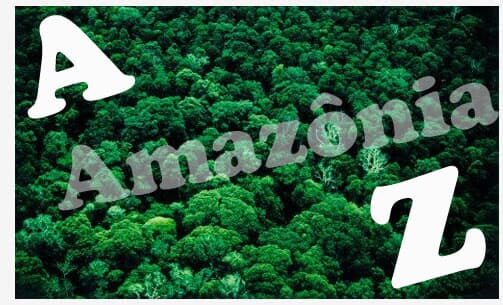 De A a Z: A multidisciplinar sustentabilidade amazônica