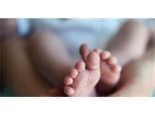 PL autoriza advogado a adiar processo por causa de nascimento de filho