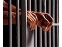 Juristas defendem fim de prisão especial para detentores de diploma de nível superior