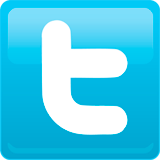 Twitter: requisição judicial de dados e pedido de preservação extrajudicial de registros - Aspectos práticos