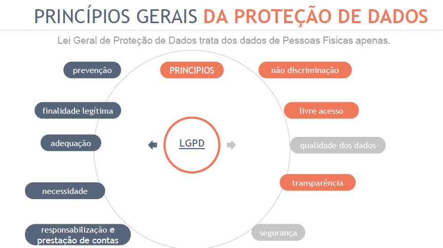 A lei e regulação geral de proteção de dados pessoais – LGPD/GDPR. Oportunidades e impactos sob as atividades que utilizam dados pessoais