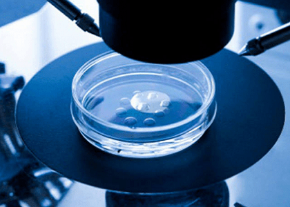 O Estatuto do Embrião e a fertilização in vitro