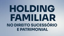 Holding Familiar no Direito Sucessório e Patrimonial
