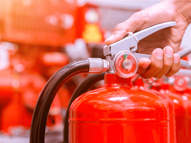  (Imagem: Adobe Stock)