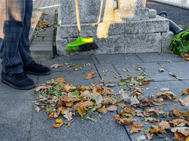  (Imagem: Adobe Stock)