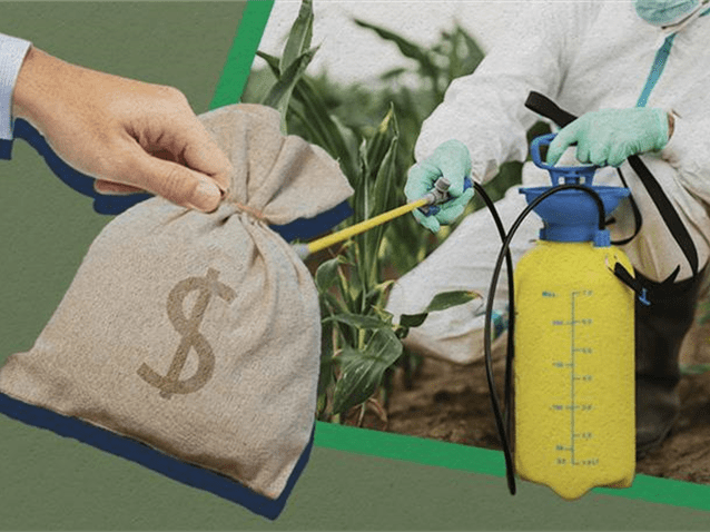  (Imagem: Artes Migalhas)