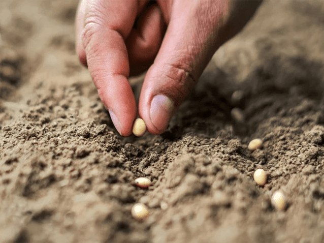  (Imagem: Adobe Stock)