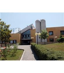 University of Molise