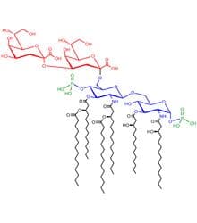 Lipopolissacarídeo Lipopolissacarídeo