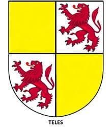 Casa de Teles de Meneses