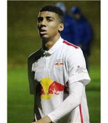 Bernardo Fernandes da Silva Junior